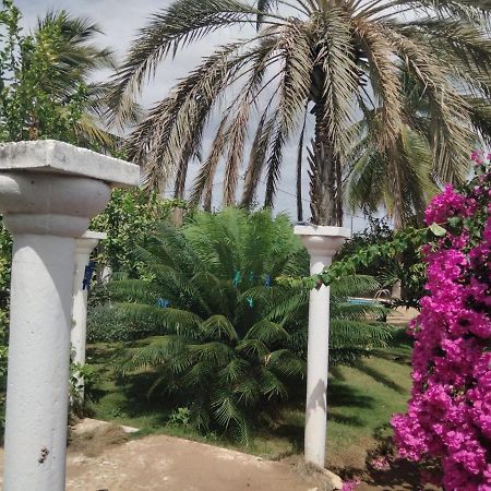 Paradisplage, 1 Minute De La Mer سالي بوخْتيودال المظهر الخارجي الصورة