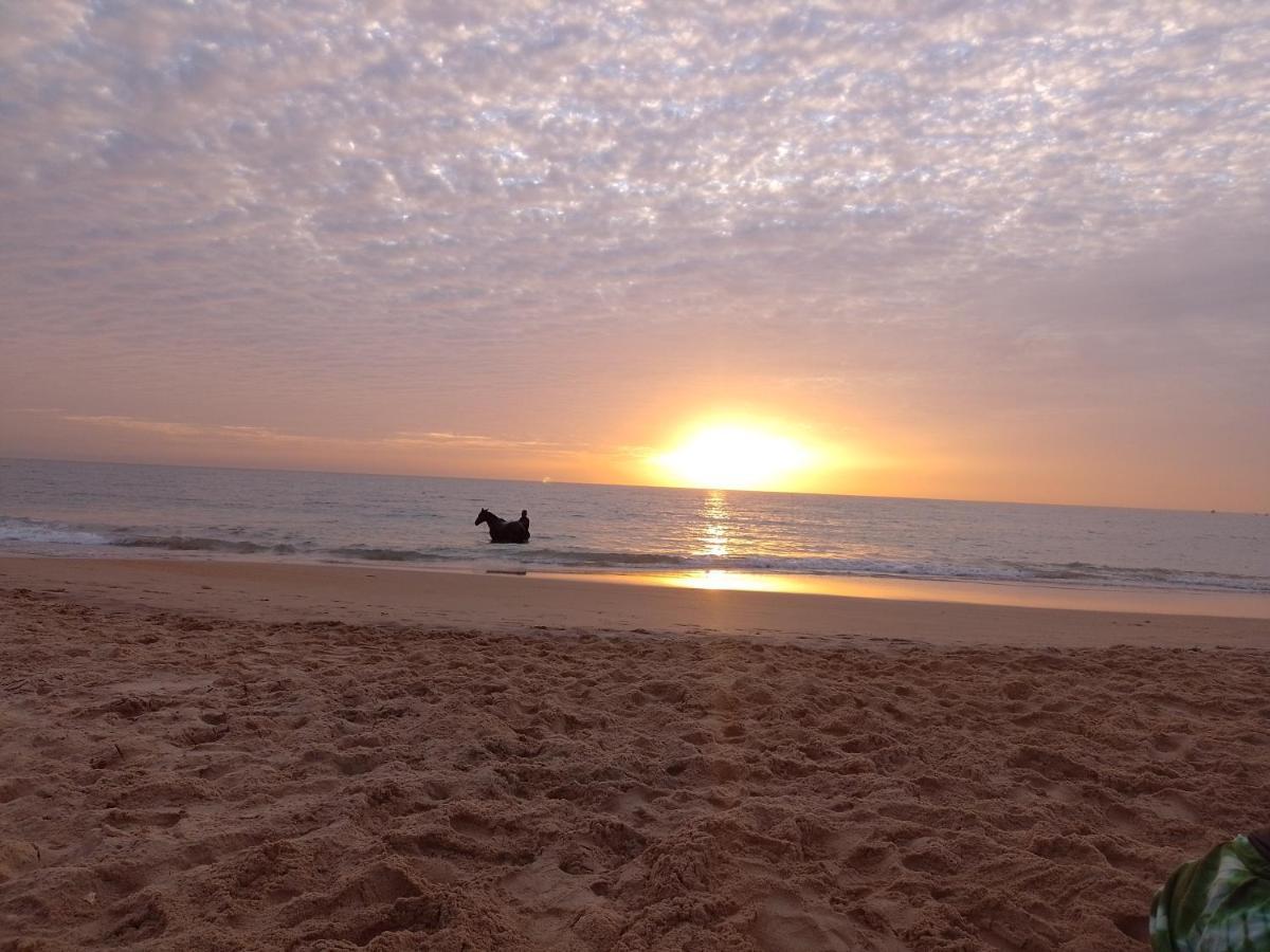 Paradisplage, 1 Minute De La Mer سالي بوخْتيودال المظهر الخارجي الصورة